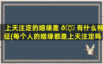上天注定的姻缘是 🦊 有什么特征(每个人的姻缘都是上天注定吗)
